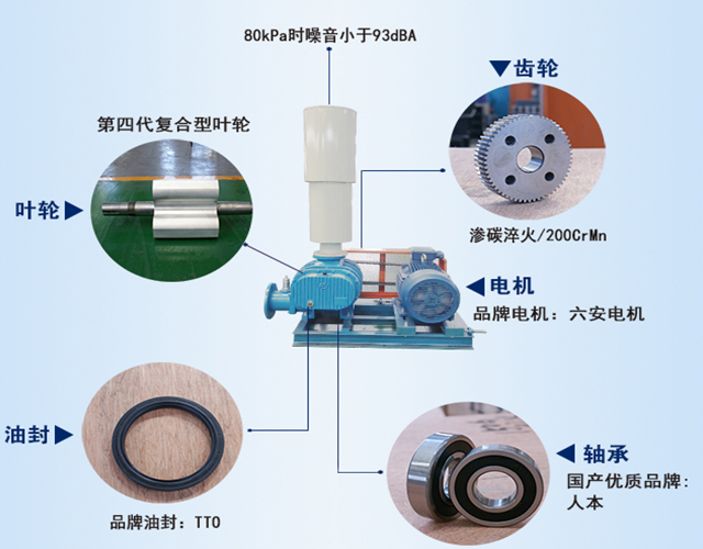 羅茨風(fēng)機